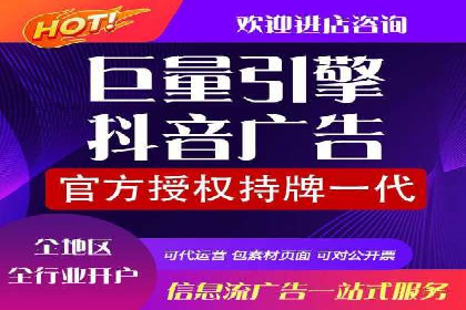 竞价广告的投放时机与频次选择——基于案例的探讨